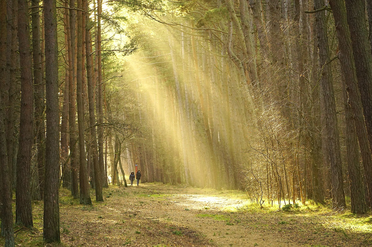 découvrez la magie des balades au coucher du soleil. profitez de paysages enchanteurs, de moments de sérénité et de la beauté naturelle qui s'éveille lorsque le soleil se couche. idéal pour les amateurs de nature et de moments de détente, nos promenades offrent une expérience inoubliable à chaque pas.
