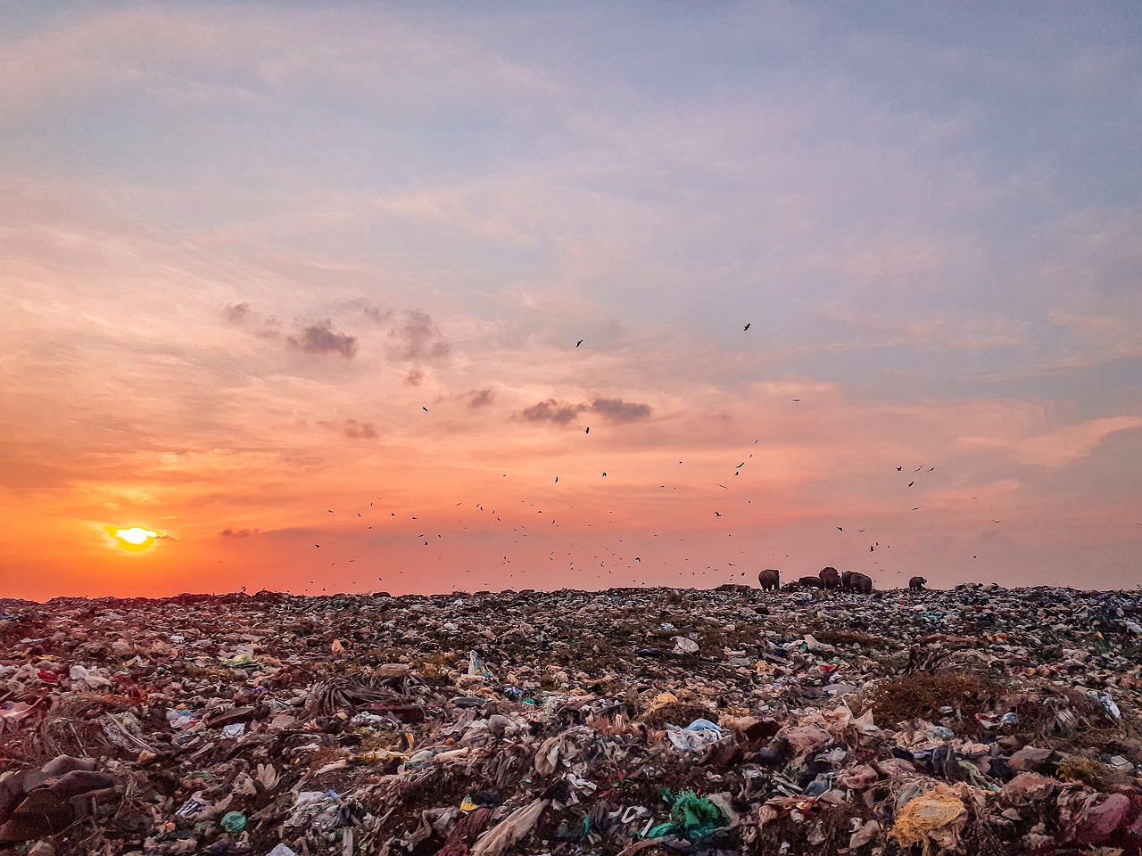découvrez l'impact de la pollution urinaire sur notre environnement et notre santé. apprenez à reconnaître ses sources, ses effets et les solutions pour réduire cette forme de contamination. informez-vous sur l'importance d'une gestion responsable des déchets et participez à la préservation de notre écosystème.