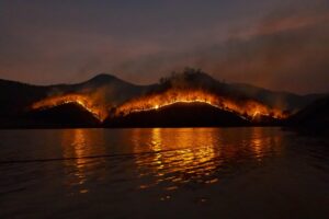 Incendies spectaculaires en Hérault : la circulation sur l’autoroute A75 perturbée par des flammes et des explosions