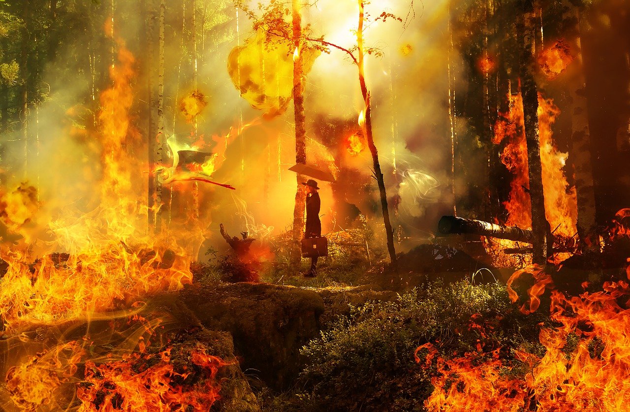 découvrez nos conseils et stratégies efficaces pour la prévention des incendies de forêt et protégez notre environnement naturel.