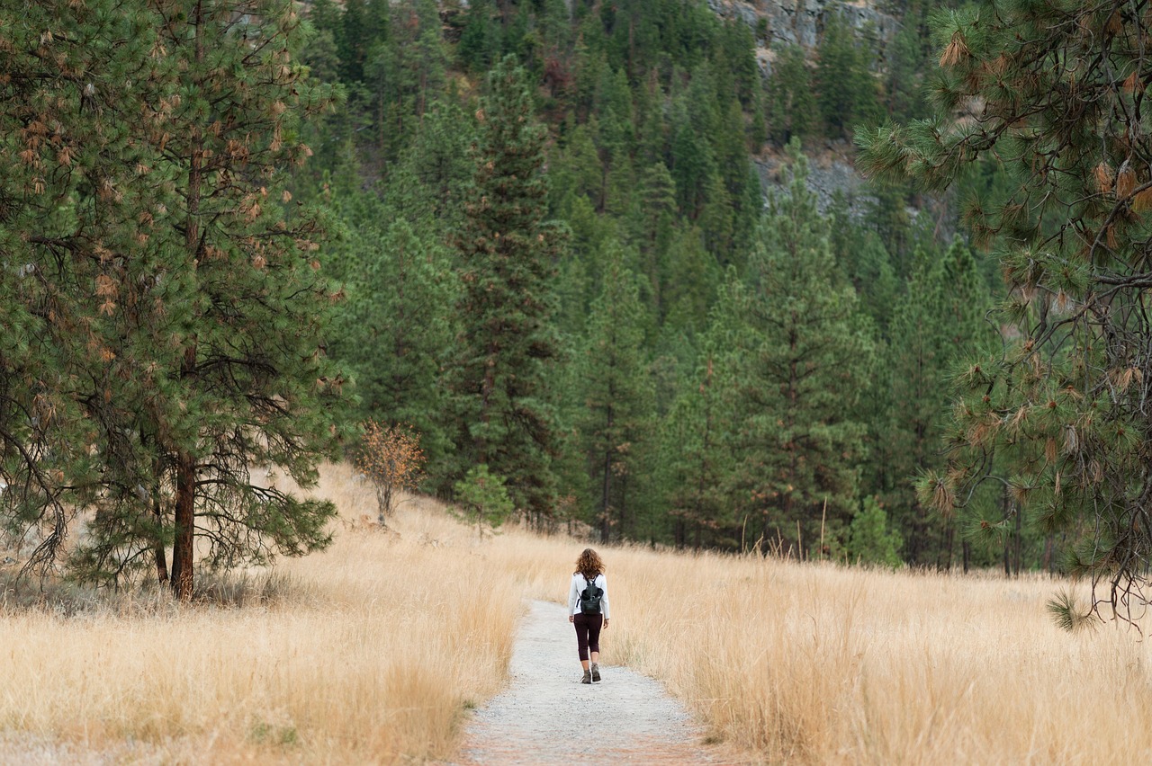 découvrez tout sur les randonneurs : conseils, équipements essentiels et meilleures destinations pour des aventures en pleine nature réussies.