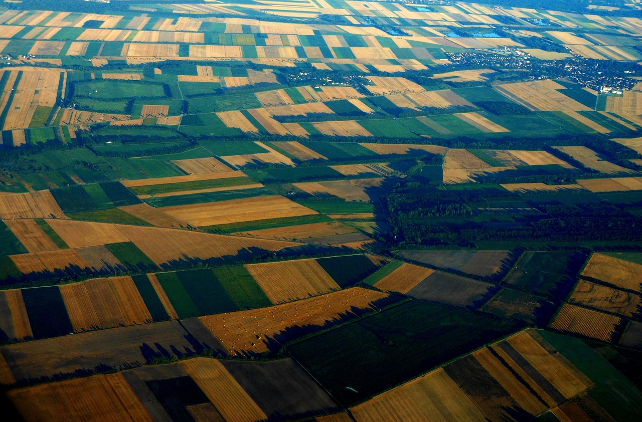 découvrez notre sélection de parcelles de terrain adaptées à tous vos projets immobiliers et agricoles. trouvez la parcelle idéale dès aujourd'hui.