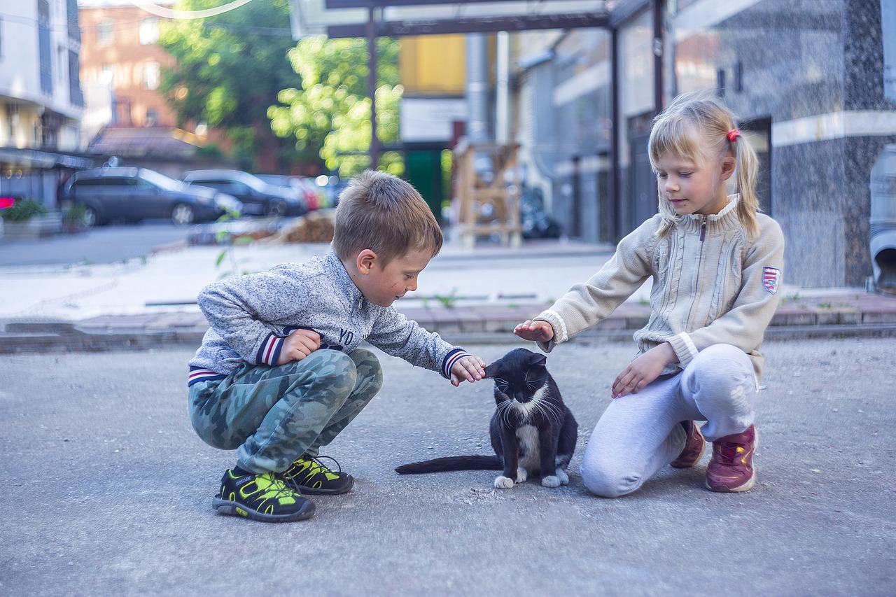 découvrez les aventures captivantes d'un chat intrépide, explorant le monde avec curiosité et courage.