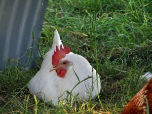 Hérault : Mobilisation agricole du 7 janvier, tout ce qu’il faut savoir