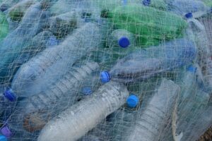 À la Plage de la Tamarissière à Agde : Project Rescue Ocean initie une opération de nettoyage écocitoyenne