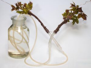 Après les récentes intempéries dans l’Hérault, approvisionnement en eau potable en bouteilles assuré dans six communes du Lodévois et Larzac