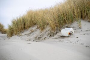 Après les fortes pluies dans l’Hérault : des plages submergées par les déchets