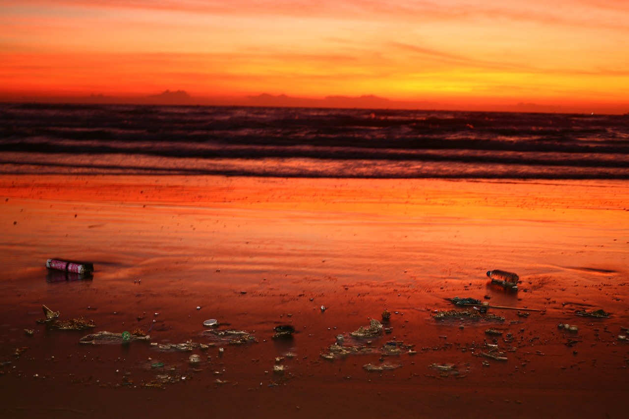 services professionnels de nettoyage environnemental pour restaurer et protéger la nature en éliminant les polluants et en favorisant un développement durable.