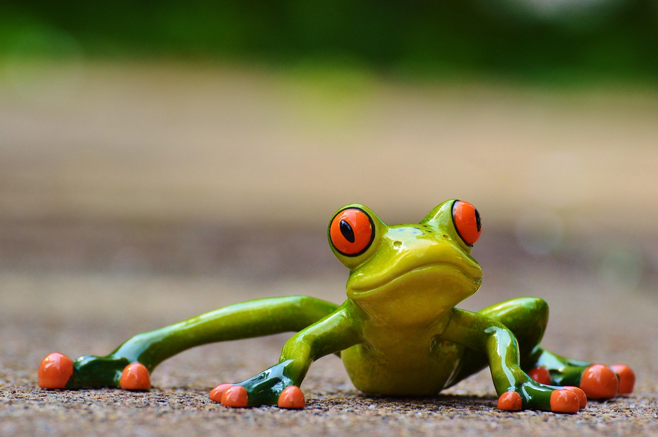 découvrez nos actions dédiées au sauvetage des grenouilles et à la préservation de leur habitat naturel. agissez avec nous pour protéger ces amphibiens essentiels à la biodiversité.