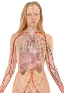 À l’Institut des Infirmières de Sète : découvrir pourquoi le métier d’infirmière est un engagement passionnant et précieux
