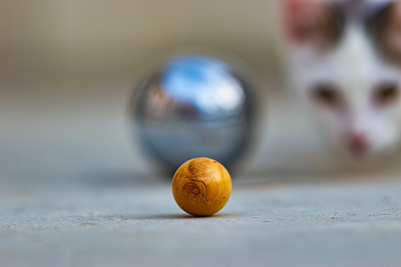 découvrez tout sur la pétanque : règles, techniques, astuces et lieux pour pratiquer ce jeu traditionnel français convivial et passionnant.