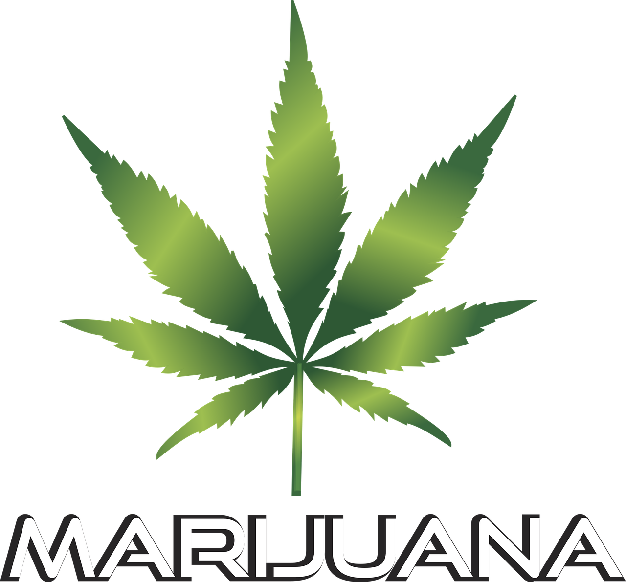découvrez les risques et conséquences liés aux fermes illégales de cannabis, ainsi que les mesures prises par les autorités pour lutter contre ce phénomène.
