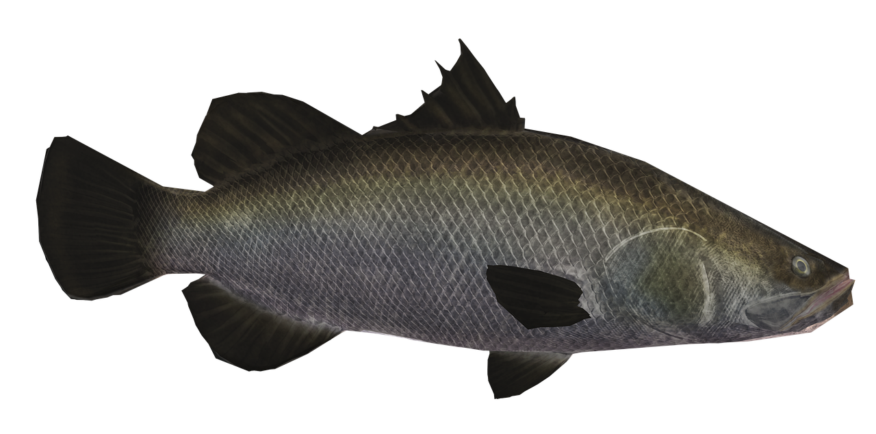 découvrez tout sur les poissons géants : leurs espèces, habitats et conseils pour les observer.