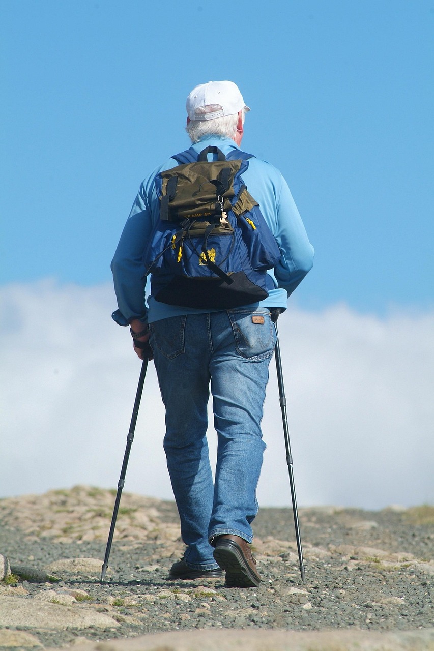 découvrez les meilleures randonnées d'été pour profiter pleinement de la nature, du soleil et des paysages magnifiques tout en restant actif et en bonne santé.