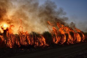 Feu dans les Pyrénées-Orientales : les pompiers relancent les opérations face à un incendie toujours hors de contrôle