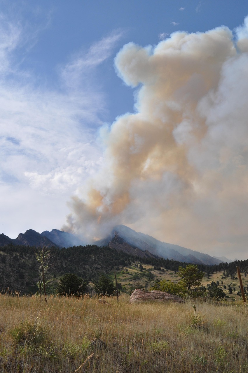 découvrez les causes, les effets et les mesures de prévention des incendies de forêt, un phénomène naturel et humain aux impacts majeurs sur l'environnement et les communautés.