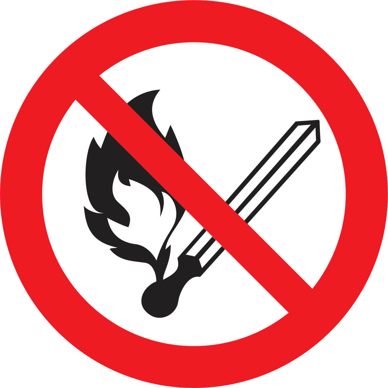 recevez des alertes incendie en temps réel pour assurer votre sécurité et rester informé des risques dans votre région.