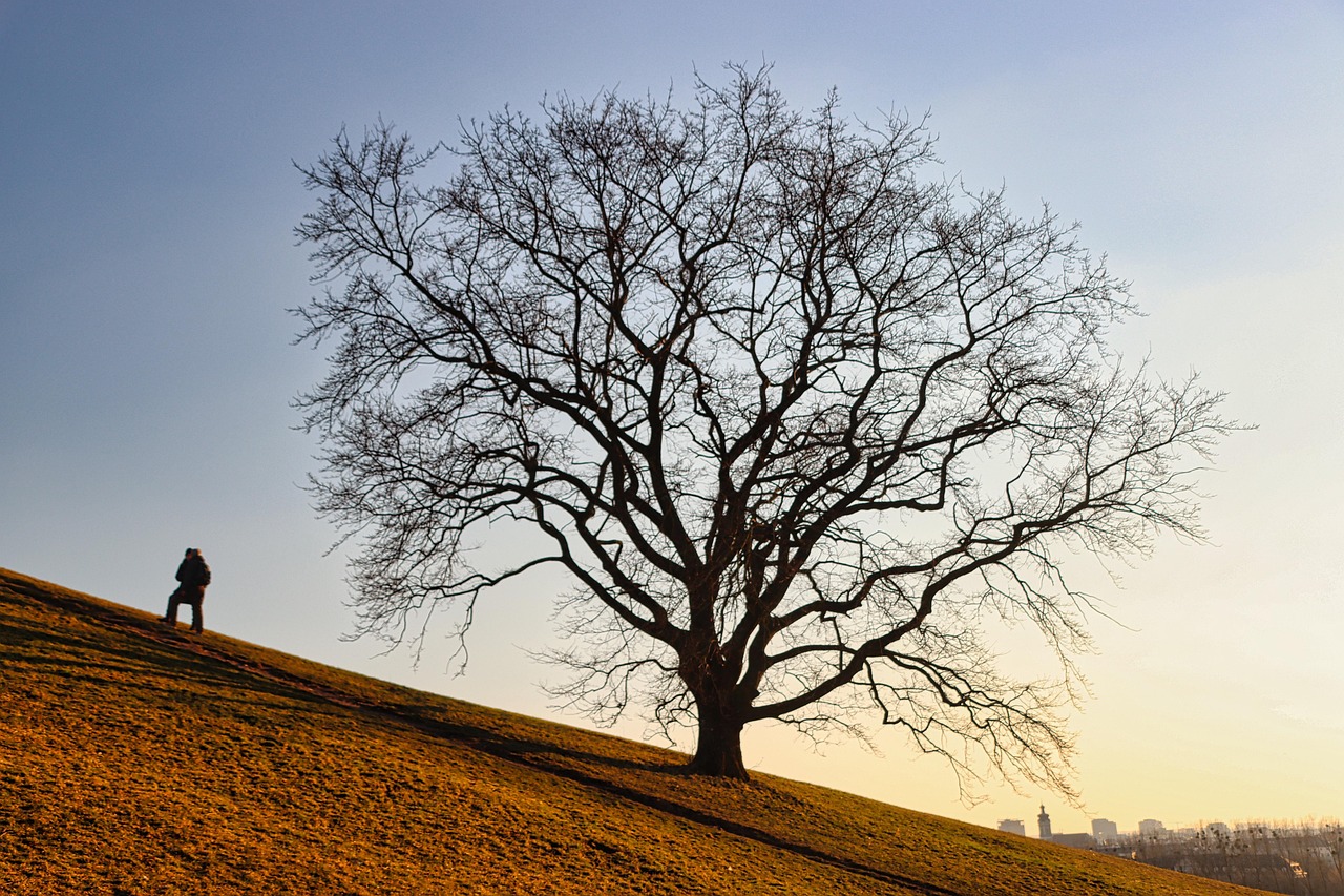 découvrez les collines de fontcaude, un lieu naturel idéal pour les randonnées et les paysages pittoresques au cœur de la nature.